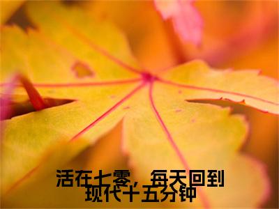 活在七零，每天回到现代十五分钟小说(许向暖沈时年)全本完整阅读最新章节（活在七零，每天回到现代十五分钟）_笔趣阁