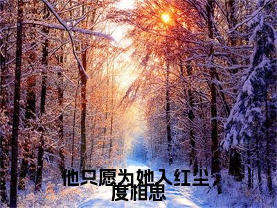 （白冷忧顾非也）白冷忧顾非也小说(他只愿为她入红尘，度相思)整书在线无广告高口碑小说