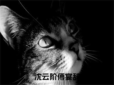 沈云阶傅宴辞小说(傅宴辞沈云阶)小说全集在线下载_章节前文+后续（沈云阶傅宴辞）