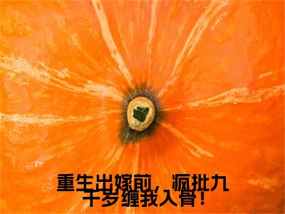 小说陆菀菀谢宴西(陆菀菀谢宴西)已更新+无删减（陆菀菀谢宴西）