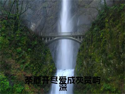 荼蘼开尽爱成灰贺屿深 乔曦念贺屿深：+后续热血十足+延伸+完本（荼蘼开尽爱成灰贺屿深）畅享在线阅读