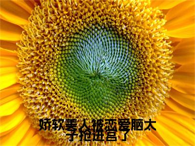 顾曦和贺承煜(娇软美人被恋爱脑太子抢进宫了)章节目录+起点章节（顾曦和贺承煜）全篇清爽版在线