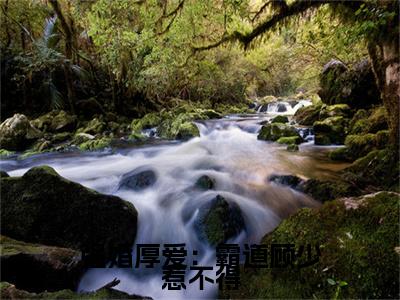 夏初心顾南骁小说(强婚厚爱：霸道顾少惹不得)+前传（夏初心顾南骁）阅读