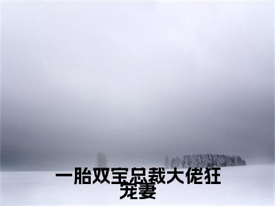 小说顾挽情秦子墨小说已更新+番外篇章（一胎双宝总裁大佬狂宠妻）纯净阅读
