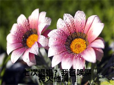 叶临渊向晚七次退婚？我召唤魔神灭他满门小说(叶临渊向晚)（七次退婚？我召唤魔神灭他满门）在线畅读+开篇大作+前传