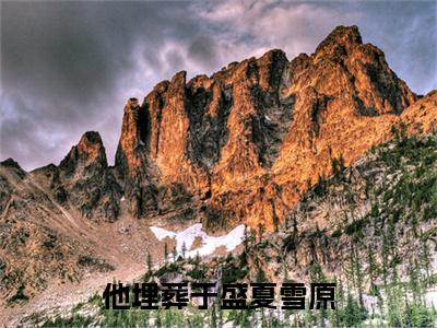 他埋葬于盛夏雪原顾聿沈婉霜彩蛋完整在线阅读（顾聿沈婉霜）最近章节列表