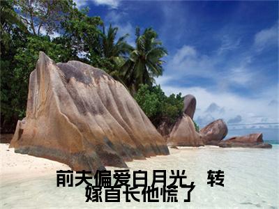 （陆锦瑟顾云城）前夫偏爱白月光，转嫁首长他慌了：结局+番外精品选集起点章节+阅读即将发布预订
