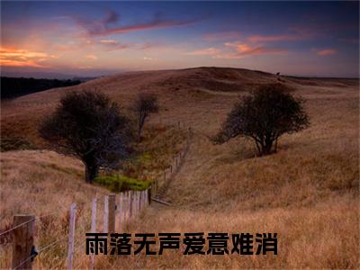 新章速递陈安怡郁钟鸣小说小说结尾阅读无广告（雨落无声爱意难消）