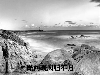 （头条）苏见晚裴肆野小说(既问晚风归不归)整本免费版阅读无广告（苏见晚裴肆野）