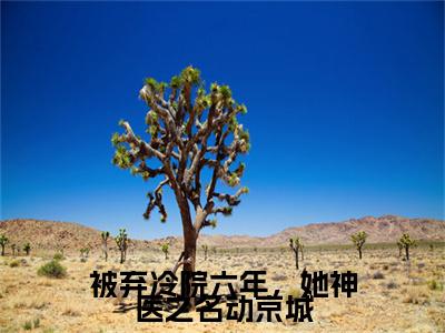 全网首发被弃冷院六年，她神医之名动京城彩蛋(叶倾城)（被弃冷院六年，她神医之名动京城）全本完整阅读无弹窗