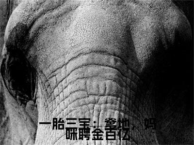 林浅浅小说(一胎三宝：爹地，妈咪聘金百亿)最近更新（林浅浅）整本无套路阅读