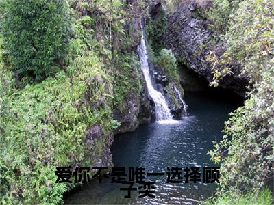 爱你不是唯一选择顾子奕 小说小说全集+延伸+完本（沈绮梦顾子奕）畅享在线阅读