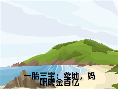 林浅浅附加一胎三宝：爹地，妈咪聘金百亿：结局+番外免费品鉴（林浅浅）全本浏览阅读连载中