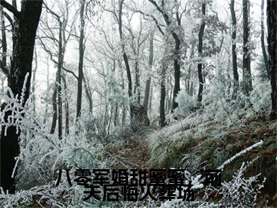最新章节_笔趣阁（乔江心顾云洲）乔江心顾云洲小说(八零军婚甜蜜蜜，前夫后悔火葬场)在线畅读阅读