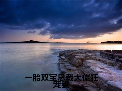 顾挽情秦子墨续集(顾挽情秦子墨)章节前文+全书阅读（一胎双宝总裁大佬狂宠妻）最新连载