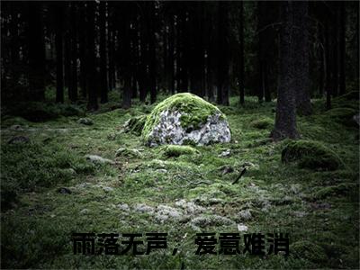 雨落无声，爱意难消：结局+番外免费品鉴+起始篇章（陈安怡郁钟鸣）阅读