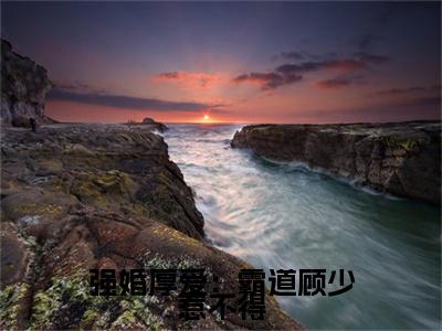 全网首发夏初心顾南骁彩蛋(强婚厚爱：霸道顾少惹不得)（夏初心顾南骁）全本完整阅读无弹窗