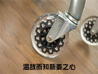 温故姜之心：结局+番外精品选集（温故而知新姜之心）番外+续集