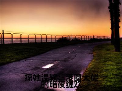 前传_笔趣阁（温晚周时凛）温晚周时凛小说(掠她温软：港圈大佬的暗夜缠欢)章节在线阅读
