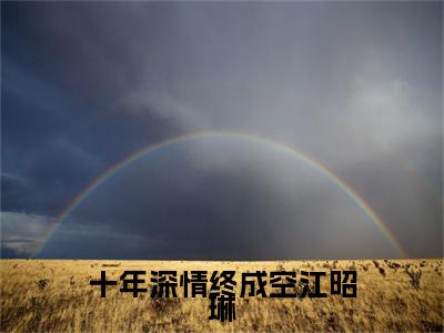 十年深情终成空江昭琳小说完本+外篇（陆敛星江昭琳）畅享阅读