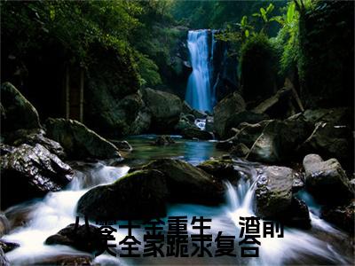 宋今禾顾景赫：结局+番外（八零千金重生，渣前夫全家跪求复合）全本完整+后续+结局在线阅读