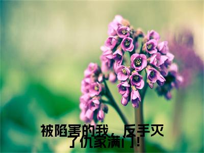 林风小说(被陷害的我，反手灭了仇家满门！)全文+后续（林风）无套路阅读
