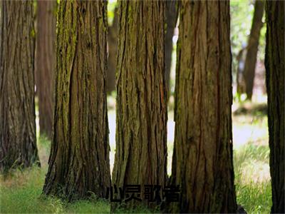 心灵歌者续集(许墨)全本完整免费版_起点章节+后续（心灵歌者）