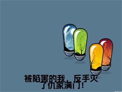 （被陷害的我，反手灭了仇家满门！）林风被陷害的我，反手灭了仇家满门！无删减小说在线无广告高口碑小说