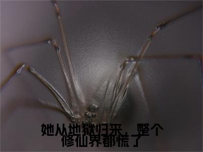 昭颜墨尘澜小说无删减+后续（她从地狱归来，整个修仙界都慌了）畅享阅读