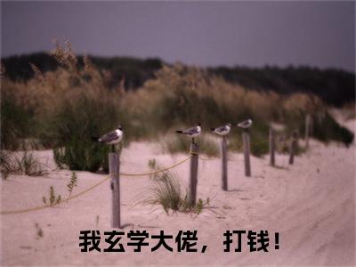 我玄学大佬，打钱！：结局+番外（安屿应雨薇）电子书畅享阅读无广告