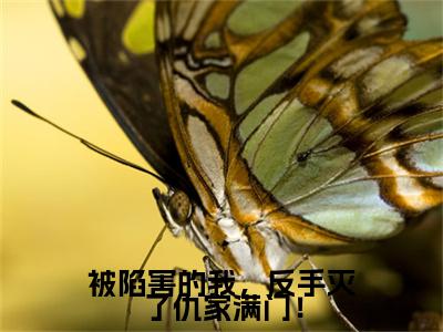 被陷害的我，反手灭了仇家满门！小说章节目录+序章（林风）全书畅享在线