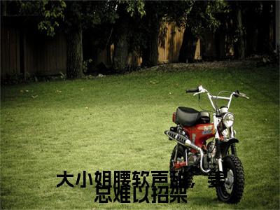 大小姐腰软声甜，姜总难以招架小说(姜淮正相绮颂)序章+全章阅读（大小姐腰软声甜，姜总难以招架）最新章节