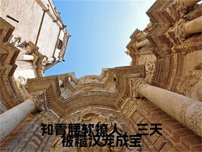 知青腰软撩人，三天被糙汉宠成宝许甜甜陆二傻续集（许甜甜陆二傻）章节在线阅读最近章节