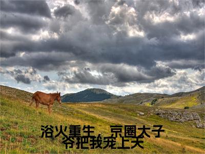 浴火重生，京圈太子爷把我宠上天小说(厉君寒叶幽)最近更新（浴火重生，京圈太子爷把我宠上天）整本无套路阅读