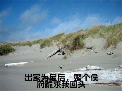 石昭出家为尼后，整个侯府跪求我回头：+后续+番外+附加（出家为尼后，整个侯府跪求我回头）清爽版阅读