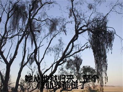 昭颜墨尘澜(她从地狱归来，整个修仙界都慌了)整本+后续+（昭颜墨尘澜）结局在线阅读