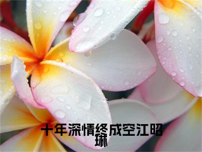 陆敛星江昭琳小说（十年深情终成空江昭琳）前传+全书阅读新作预览