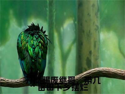 林满满：结局+番外新上热文（开局踢废继哥，带几亩田下乡摆烂）全篇免费版在线+无障碍结局