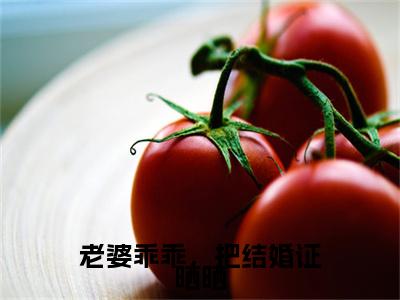 全网首发老婆乖乖，把结婚证晒晒小说叫什么(陆歧林七)（老婆乖乖，把结婚证晒晒）全书阅读纯净阅读