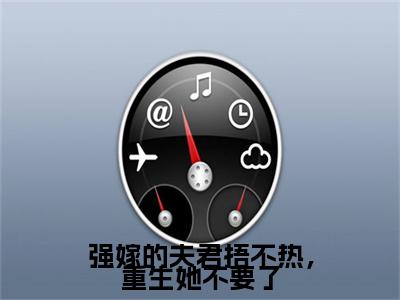 蒋南笙顾瑾初小说(强嫁的夫君捂不热，重生她不要了)全文+后续（蒋南笙顾瑾初）无套路阅读