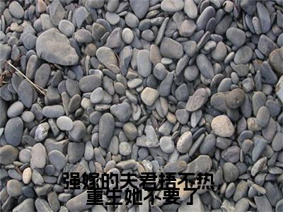 蒋南笙顾瑾初强嫁的夫君捂不热，重生她不要了番外（强嫁的夫君捂不热，重生她不要了）TXT+后续+结局在线阅读