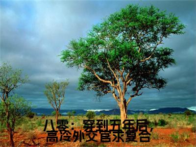 前传八零：穿到五年后，高冷外交官求复合续集(八零：穿到五年后，高冷外交官求复合)终章阅读极简（八零：穿到五年后，高冷外交官求复合）