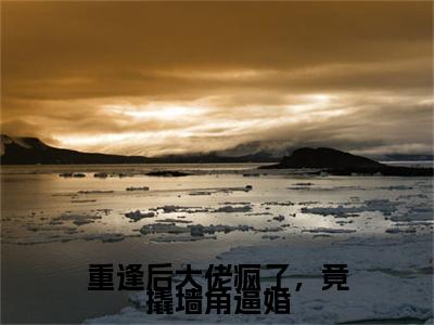傅璟忱禾念安小说完结篇(重逢后大佬疯了，竟撬墙角逼婚)（傅璟忱禾念安）全书无套路阅读无广告小说大结局