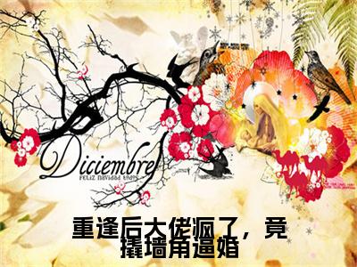 前传重逢后大佬疯了，竟撬墙角逼婚续集(重逢后大佬疯了，竟撬墙角逼婚)终章阅读极简（重逢后大佬疯了，竟撬墙角逼婚）
