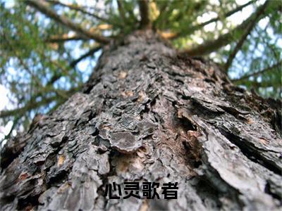 心灵歌者小说无删减阅读无干扰（许墨）番外+续集