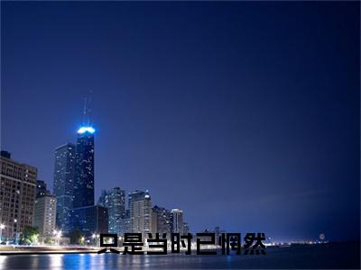 全网首发只是当时已惘然小说叫什么(邢宁染)（只是当时已惘然）全书阅读纯净阅读