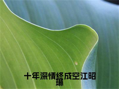 十年深情终成空江昭琳小说无删减阅读清爽版（陆敛星江昭琳）外篇+续集