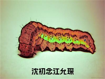 沈初念江允琛特别篇章节目录+章节前文（江允琛沈初念）TXT清爽版在线