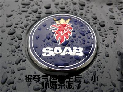 谢宁小说完整在线阅读（被夺气运重生后，小师妹杀疯了）前传列表