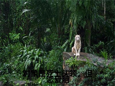 对象是死士头领，但恋爱脑全文免费阅读_（楚阿娇赵听寒免费阅读无弹窗）楚阿娇赵听寒最新章节列表笔趣阁